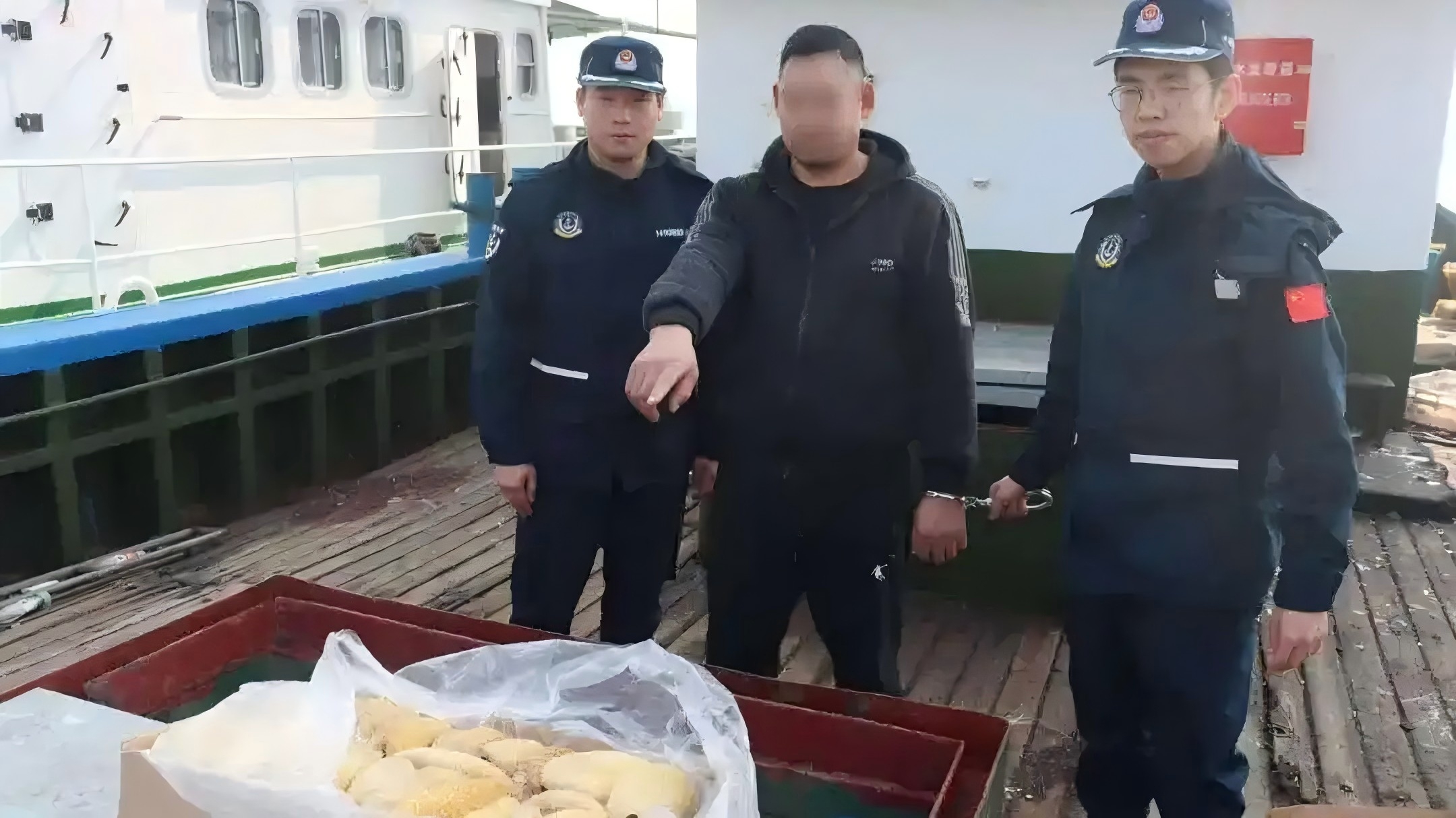 一线速递｜浙江河北海警连续查获海上走私冻品案