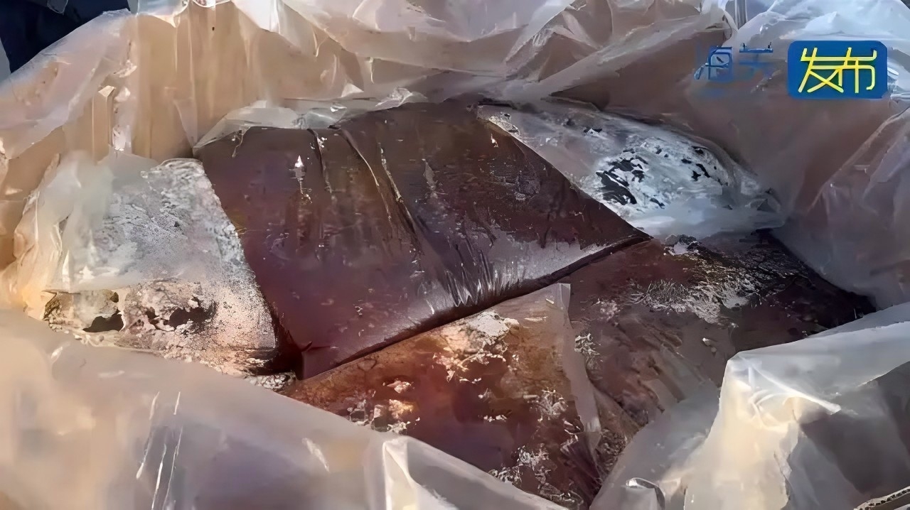 海关查获100.9吨洋垃圾，已发霉，散发刺鼻腥味！